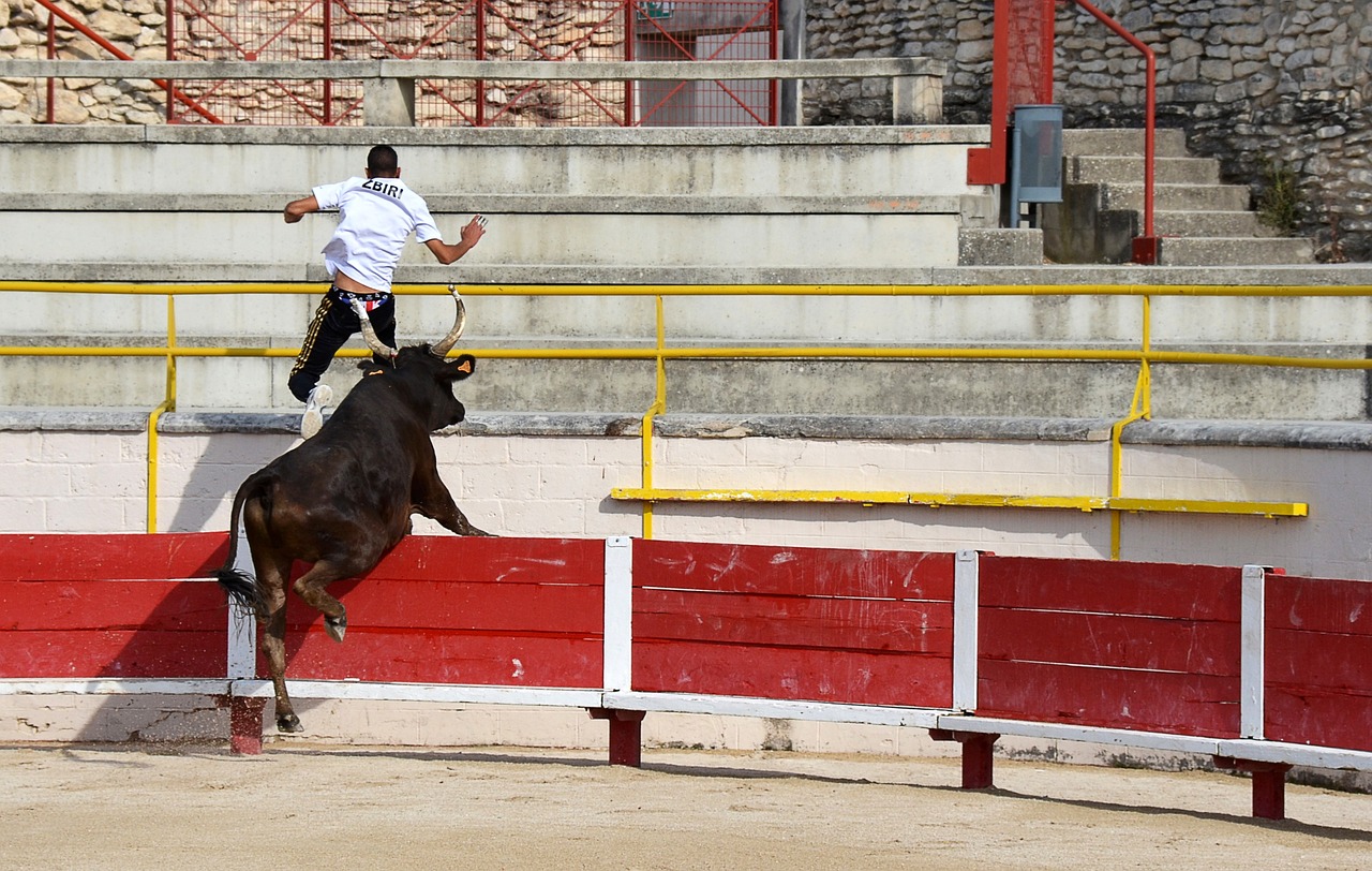 明一个道理