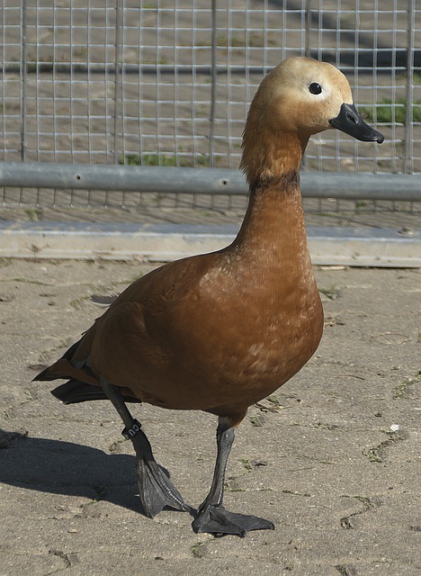 和失誤
