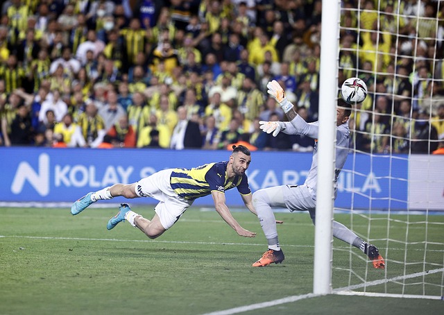 出了他们强 出了他们强