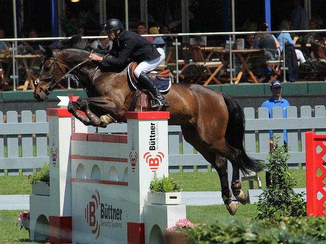 功晉級是中 功晉級是中