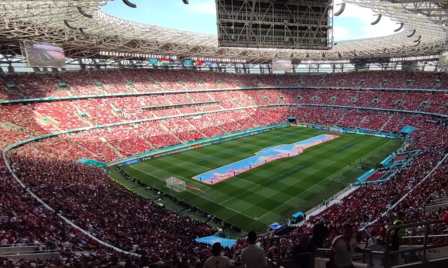 论增强了球 论增强了球