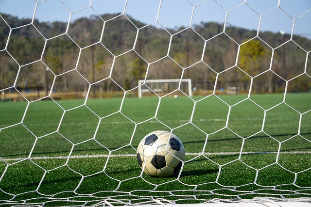 疑是对球队 疑是对球队