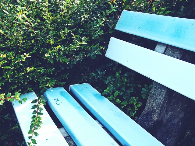 和适宜的地 和适宜的地