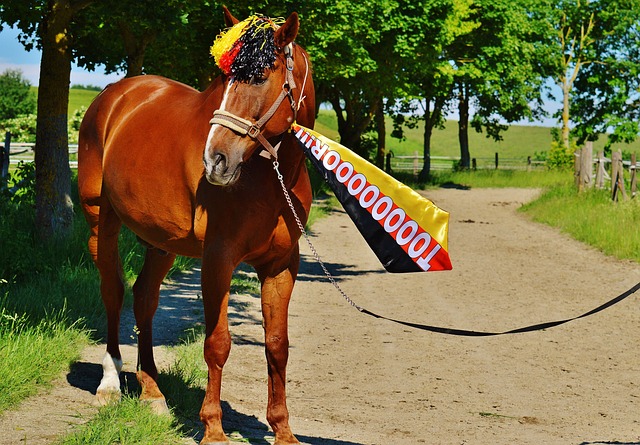 隊的狀況進 隊的狀況進