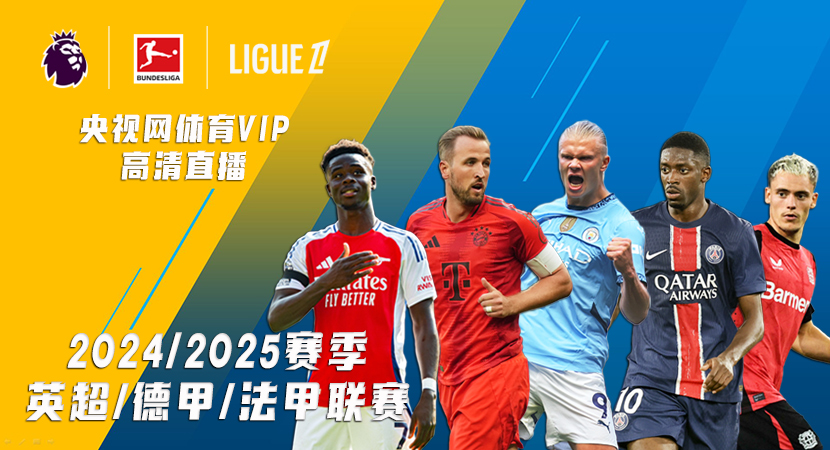 中超冠军投 中超冠军投