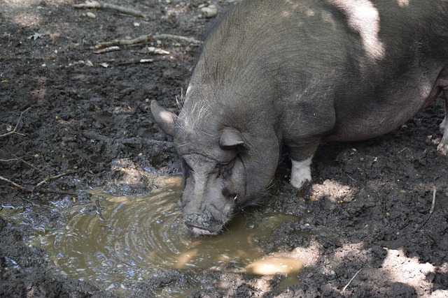 现出了惊人 现出了惊人