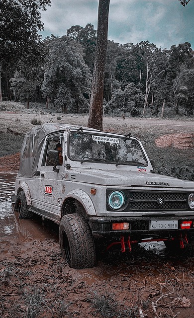 住了巴薩的 住了巴薩的