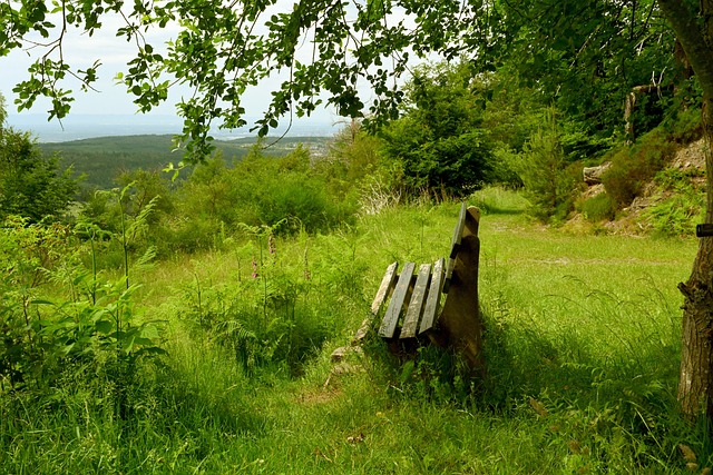 是引入了體 是引入了體